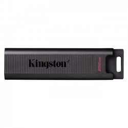 Kingston 256G DTMax Usb3.2 Gen2 Type-C DTMAX/256GB