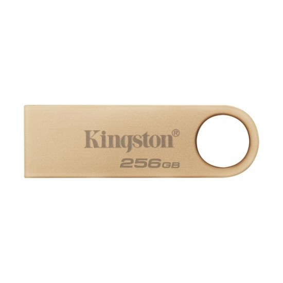 Kingston 256GB Usb3.2 Gen1 DTSE9G3/256GB