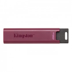 Kingston 256GB Exodia M Usb3.2 Gen1 DTMAXA/256GB