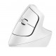 Logitech Lift Kablosz Dikey Mouse Beyaz 910-006475